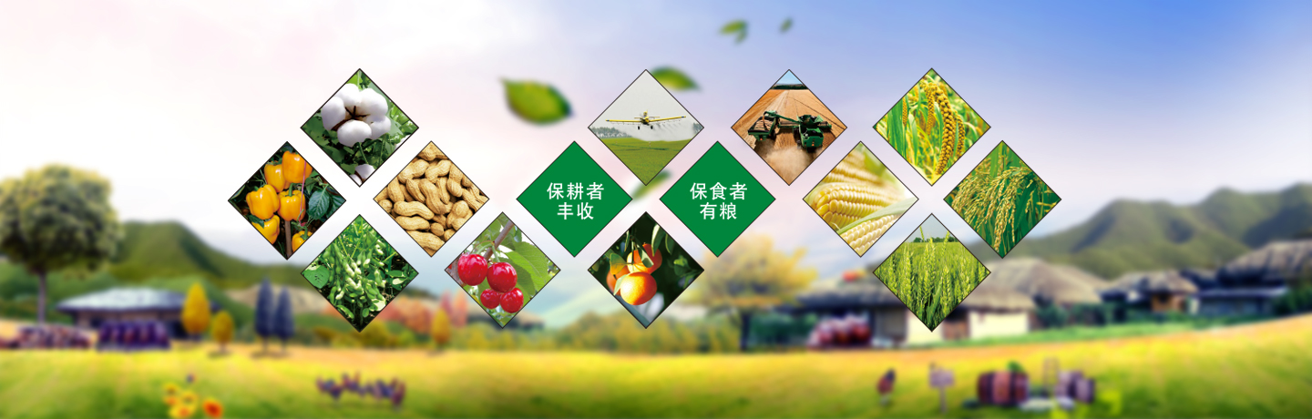 天津高效低毒除草劑、天津除草劑廠(chǎng)家