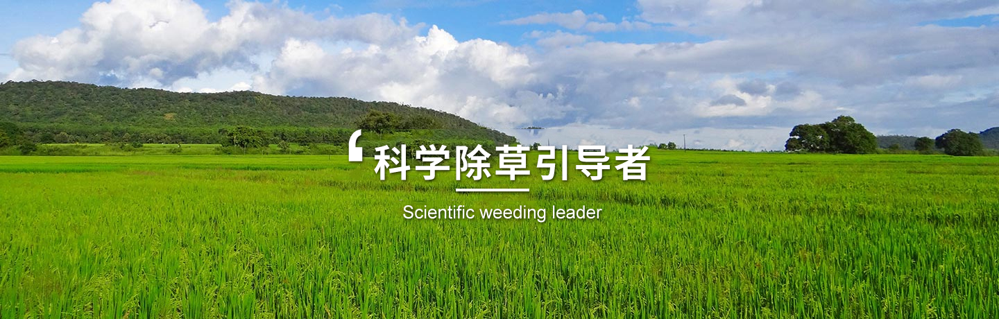 天津高粱田除草劑、河北玉米田除草劑